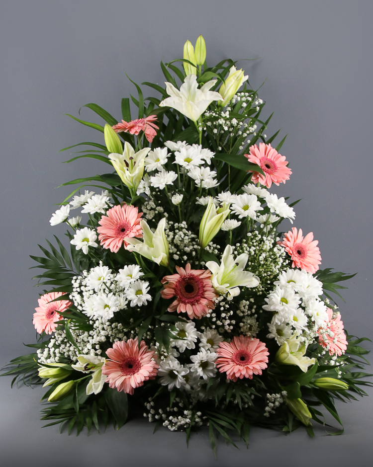 CENTRO DIFUNTO BASIC